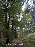 Arboretum Sola gratia, Bystřice pod Hostýnem